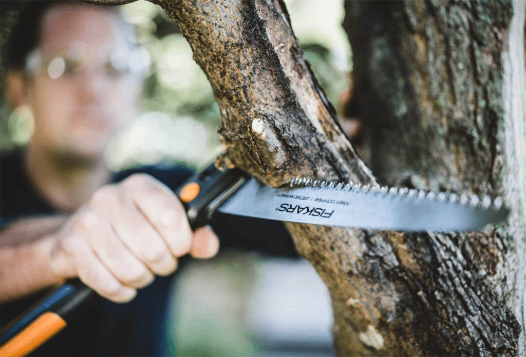 Beesley tree care photo 7